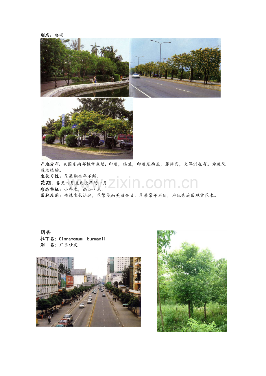 广东较适宜的景观、庭院树木.doc_第2页