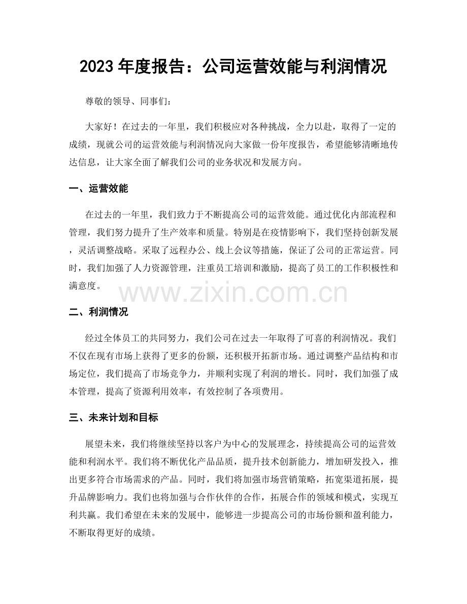 2023年度报告：公司运营效能与利润情况.docx_第1页