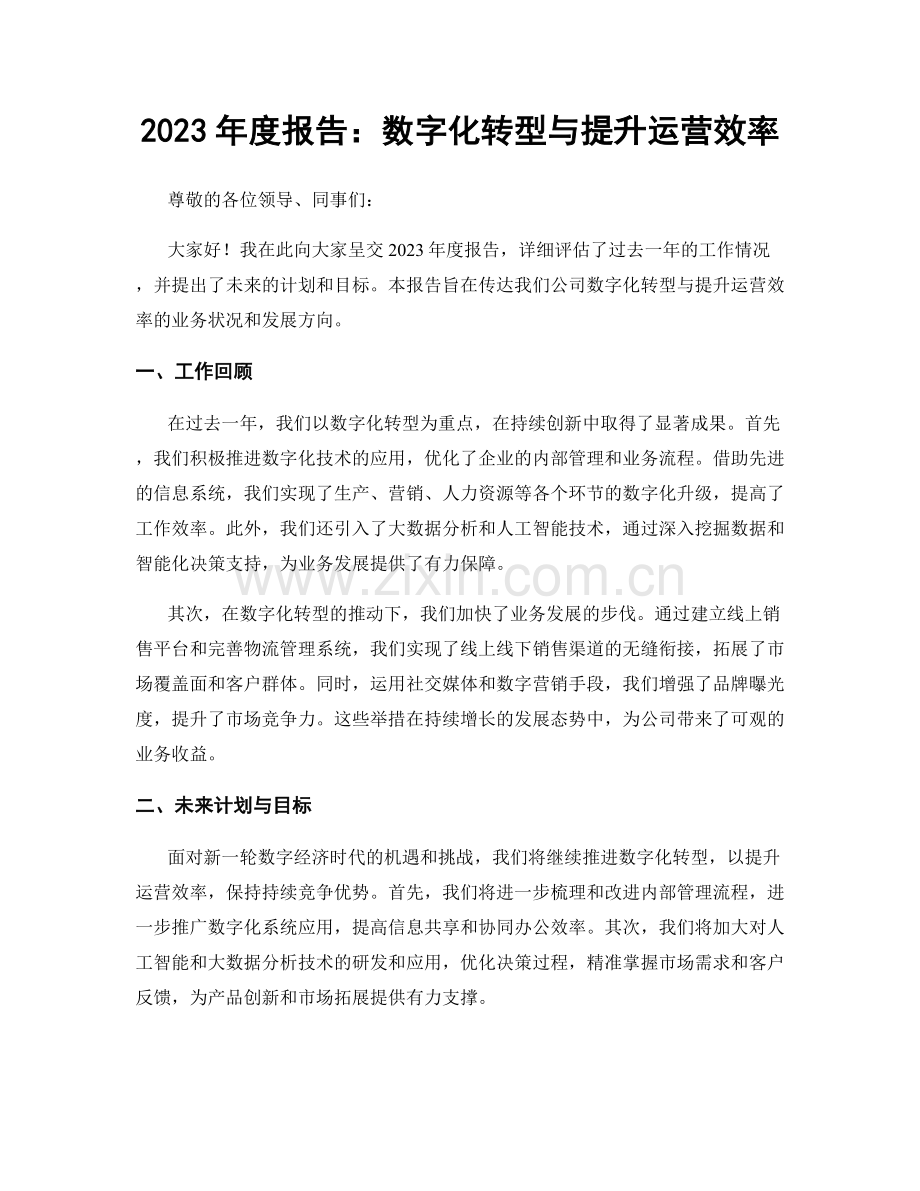 2023年度报告：数字化转型与提升运营效率.docx_第1页