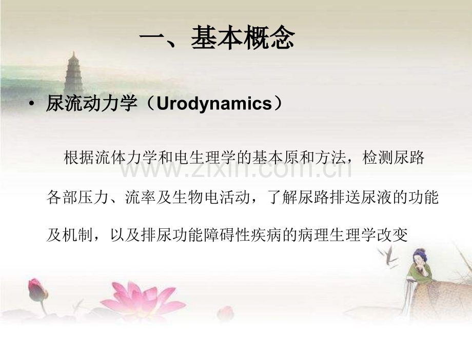 尿流动力学检查.ppt_第1页