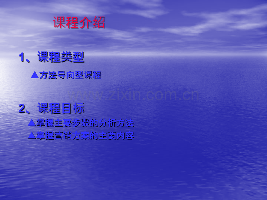 市场营销方案的策划与实施.ppt_第2页