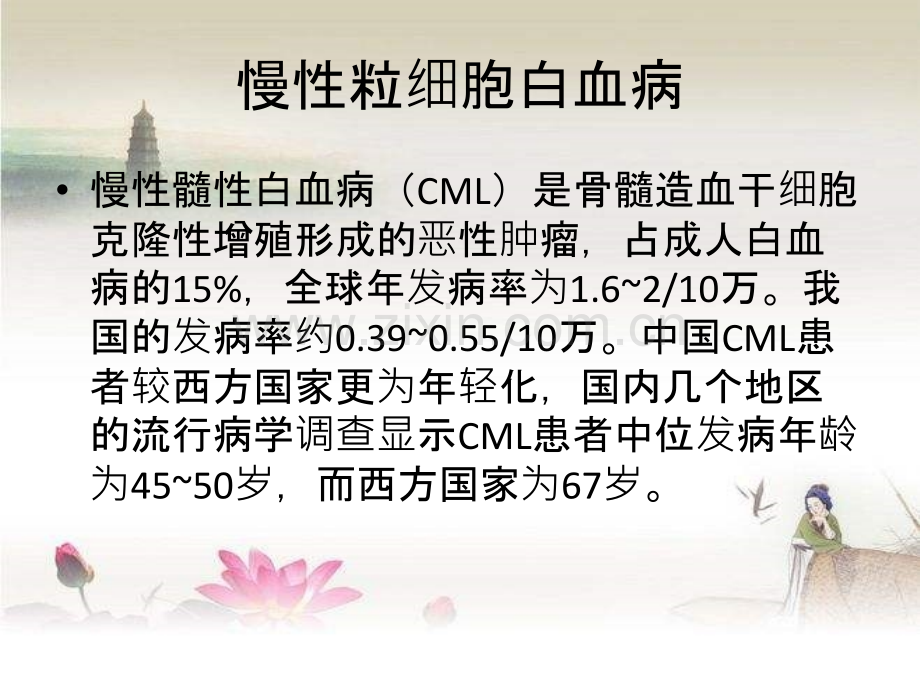 慢粒的分期及治疗.ppt_第2页