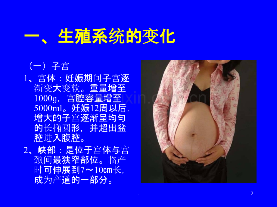 妊娠期母体的变化ppt课件.ppt_第2页