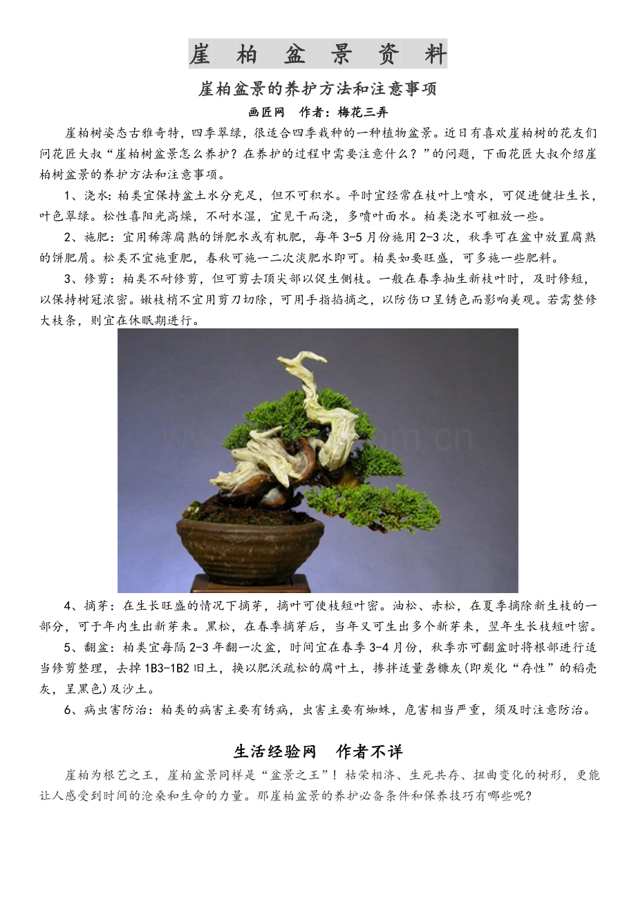 崖柏盆景资料.doc_第1页