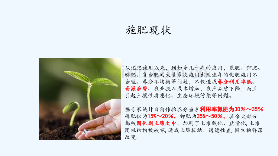 微生物菌剂水溶肥.pptx_第2页