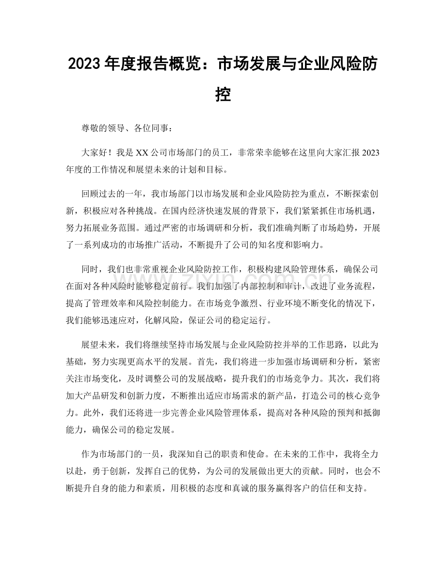 2023年度报告概览：市场发展与企业风险防控.docx_第1页