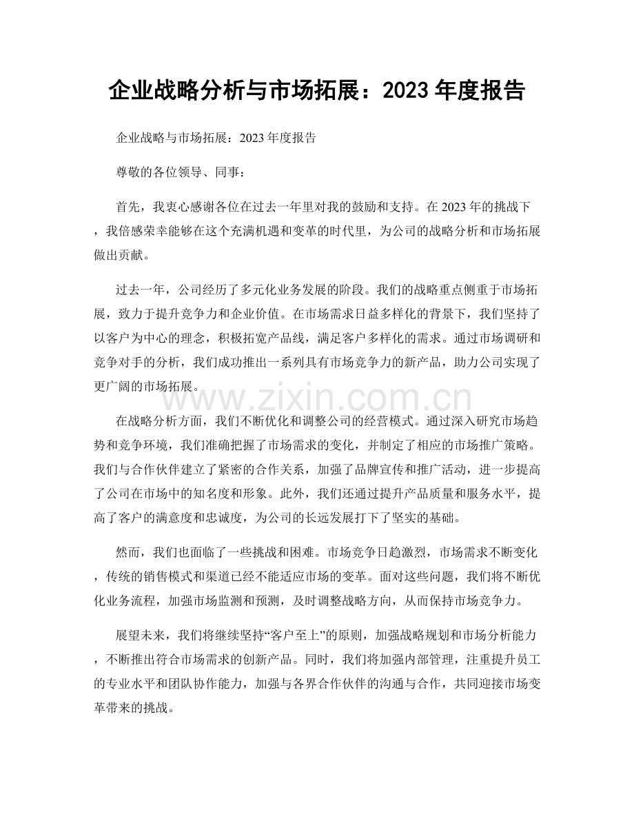 企业战略分析与市场拓展：2023年度报告.docx_第1页