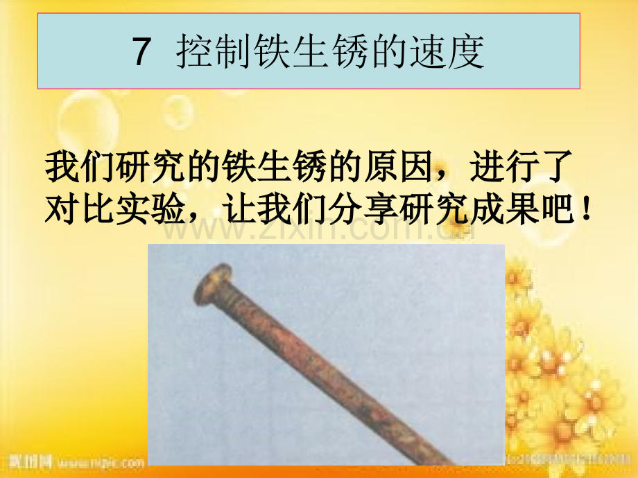 教科版科学六年级下册《-控制铁生锈的速度》.ppt_第1页