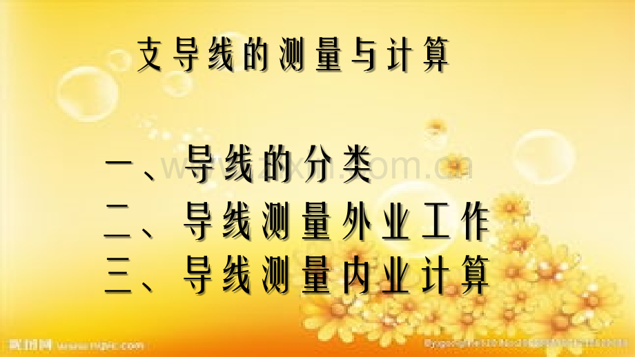 支导线测量与计算(学习).ppt_第1页