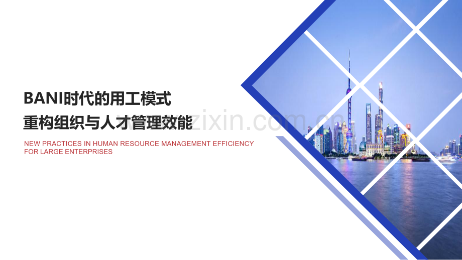 BANI时代的用工模式重构组织与人才管理效能.pdf_第1页