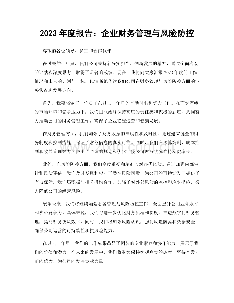 2023年度报告：企业财务管理与风险防控.docx_第1页