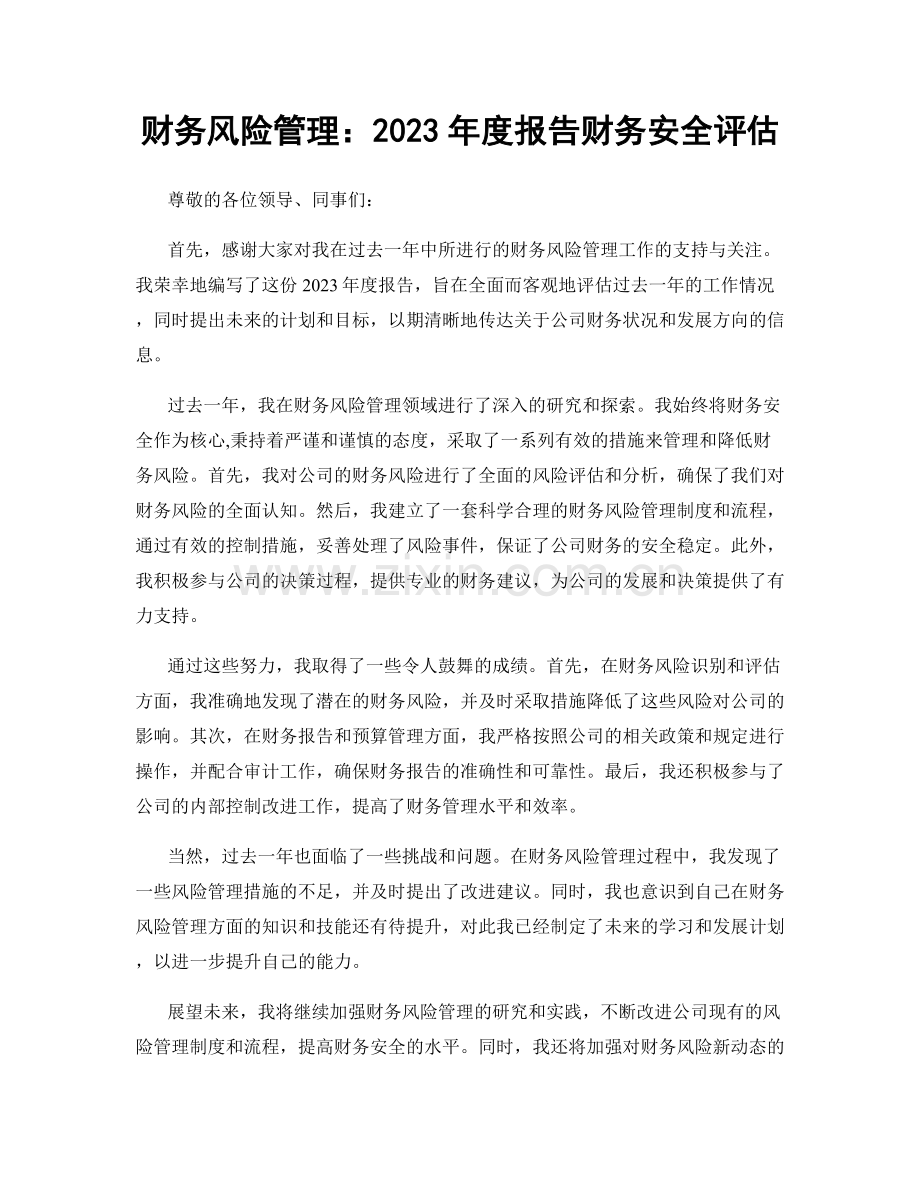 财务风险管理：2023年度报告财务安全评估.docx_第1页