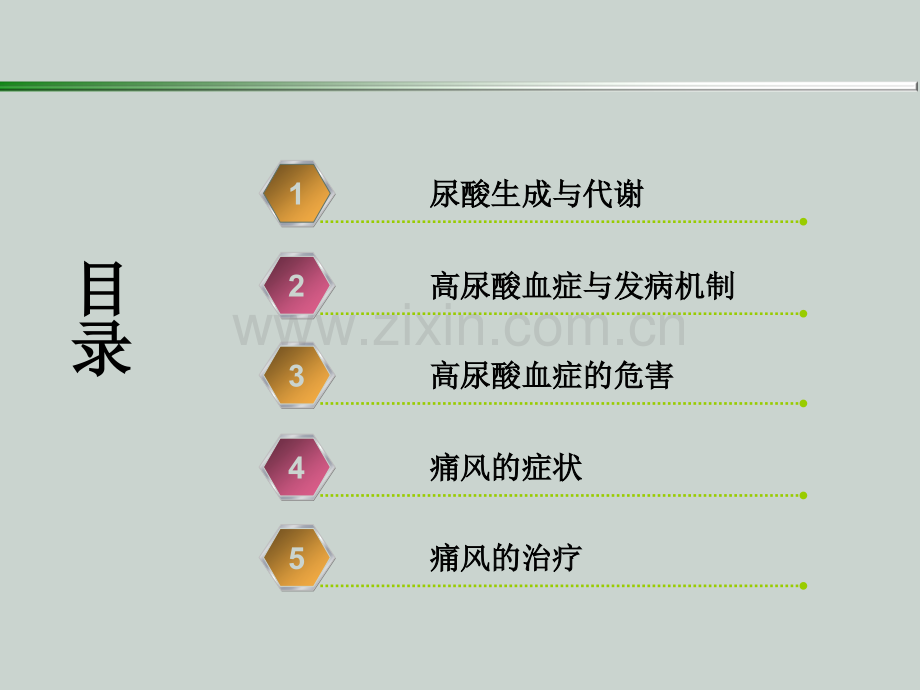 尿酸代谢.ppt_第2页