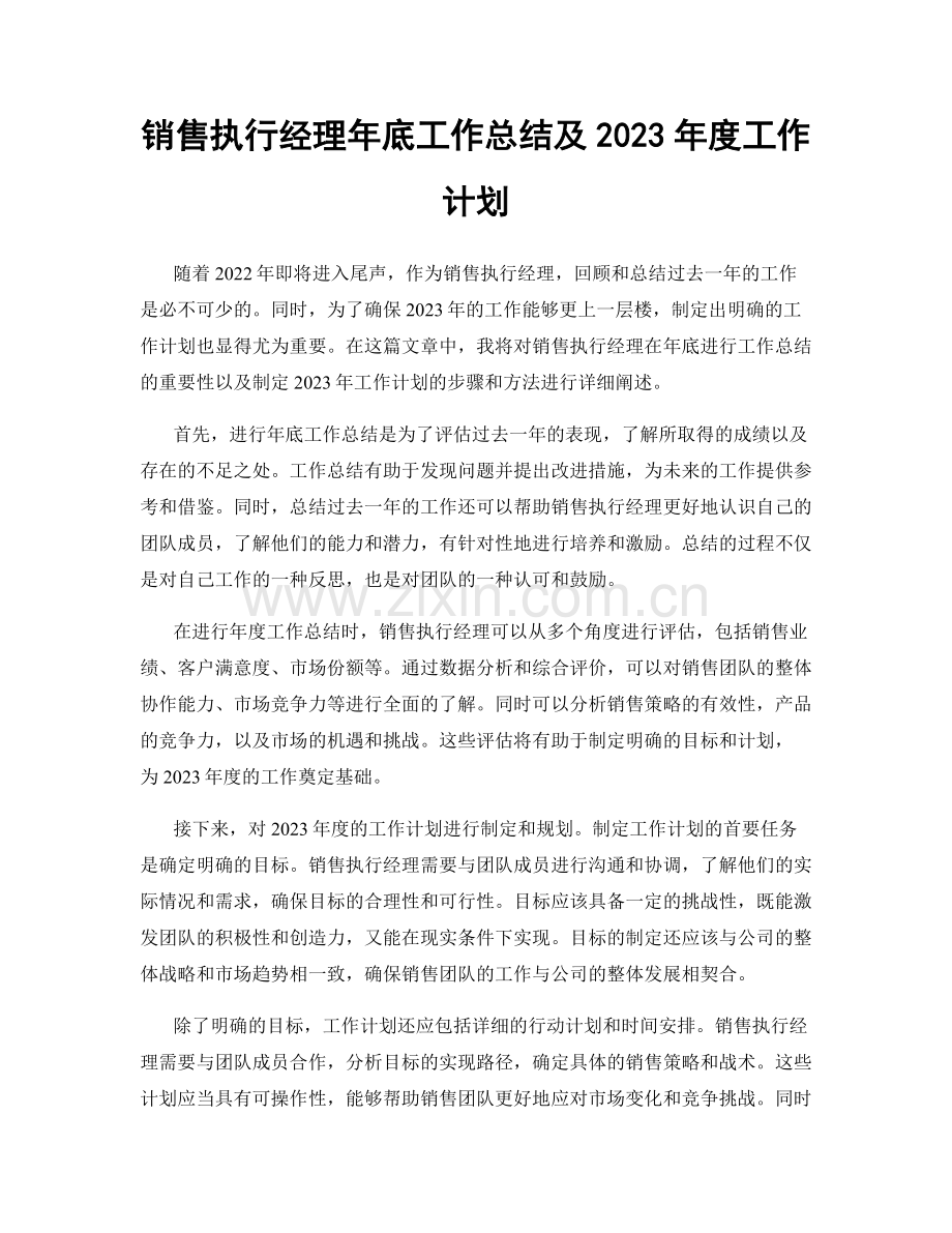 销售执行经理年底工作总结及2023年度工作计划.docx_第1页