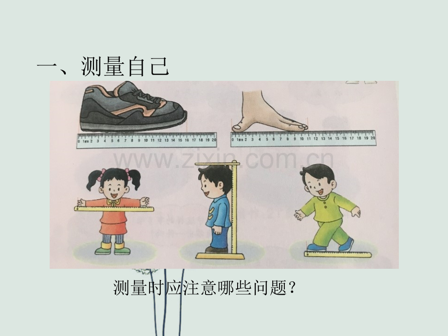 我们的测量-冀教版二年级下册第一单元.ppt_第2页