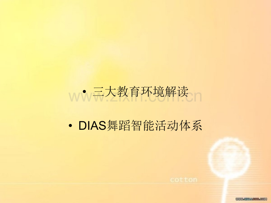 少儿芭蕾课程体系详解.ppt_第2页