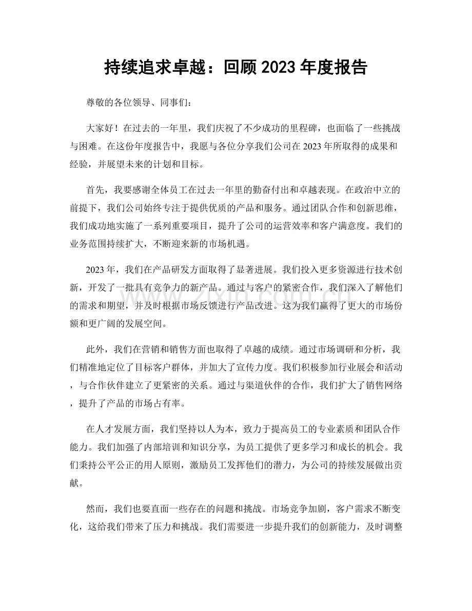 持续追求卓越：回顾2023年度报告.docx_第1页