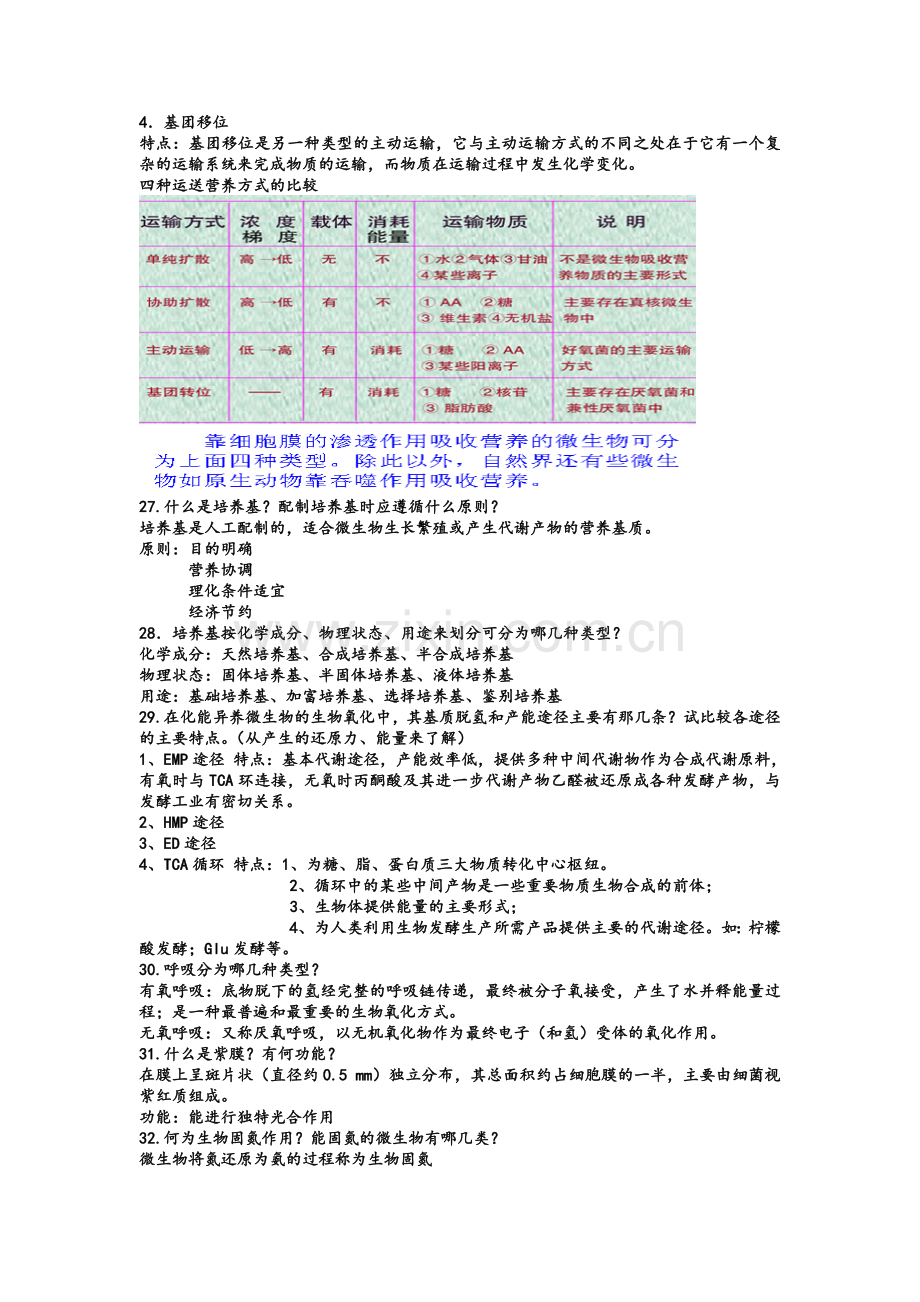 微生物复习资料.doc_第2页