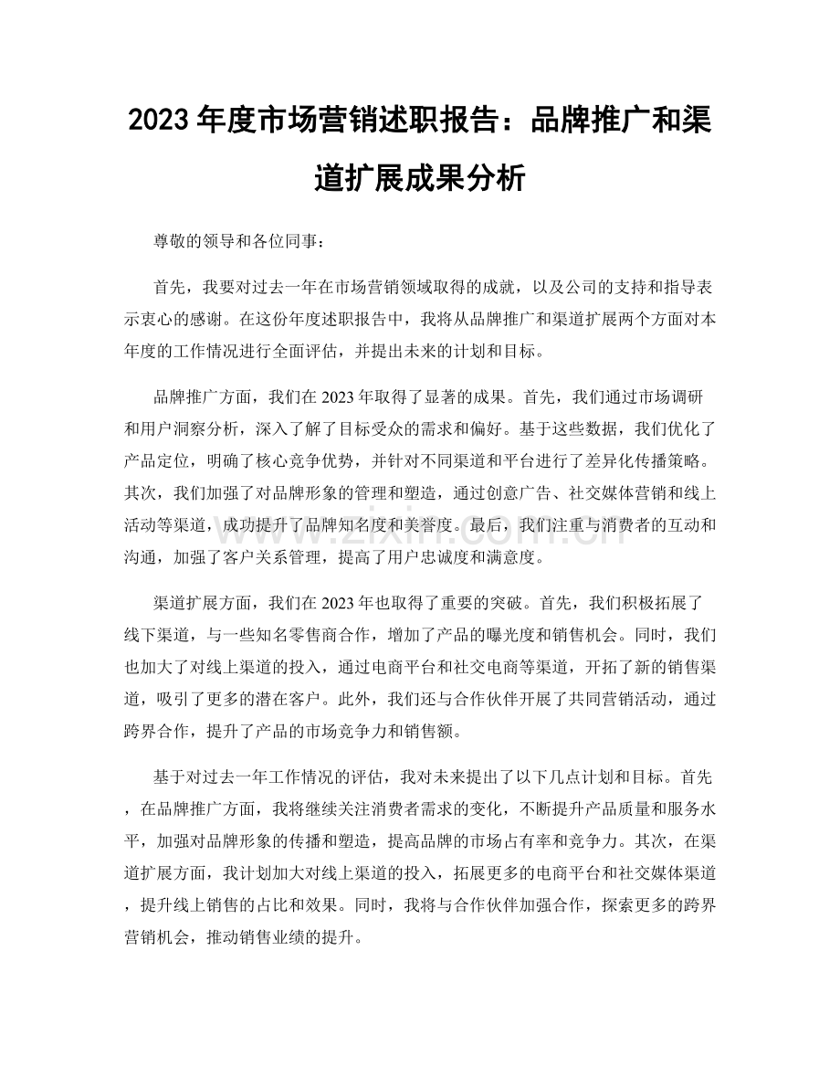 2023年度市场营销述职报告：品牌推广和渠道扩展成果分析.docx_第1页