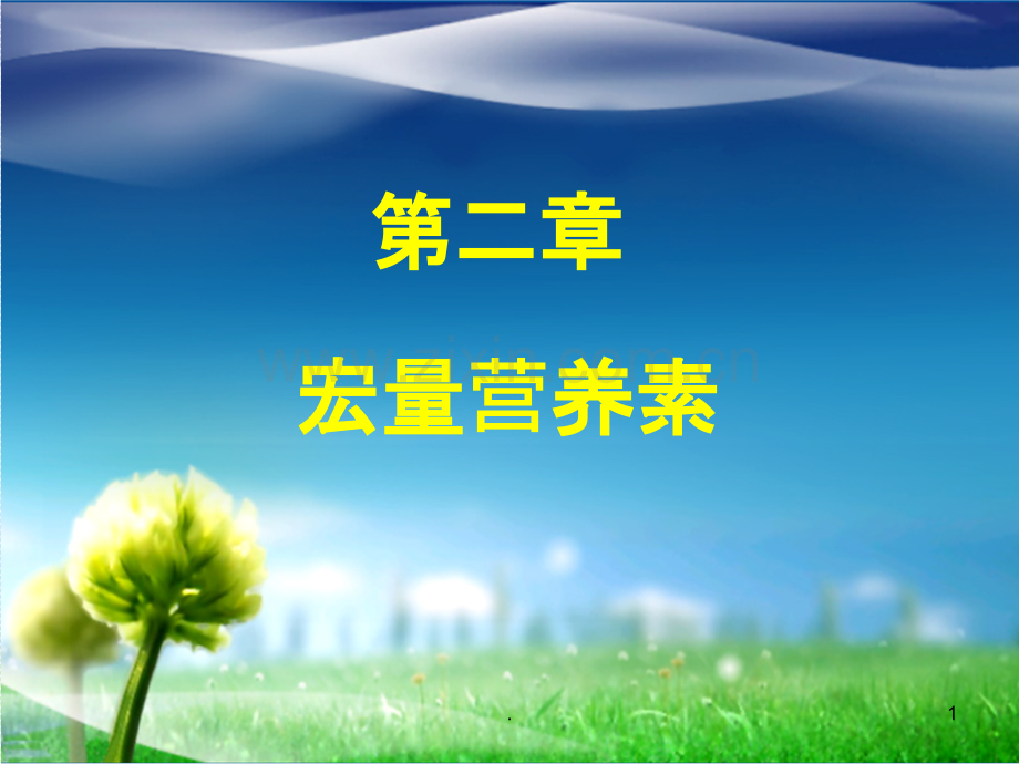 宏量营养素系列一.ppt_第1页