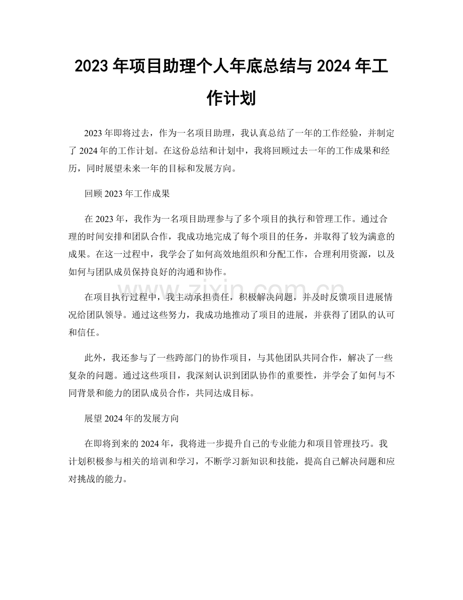 2023年项目助理个人年底总结与2024年工作计划.docx_第1页