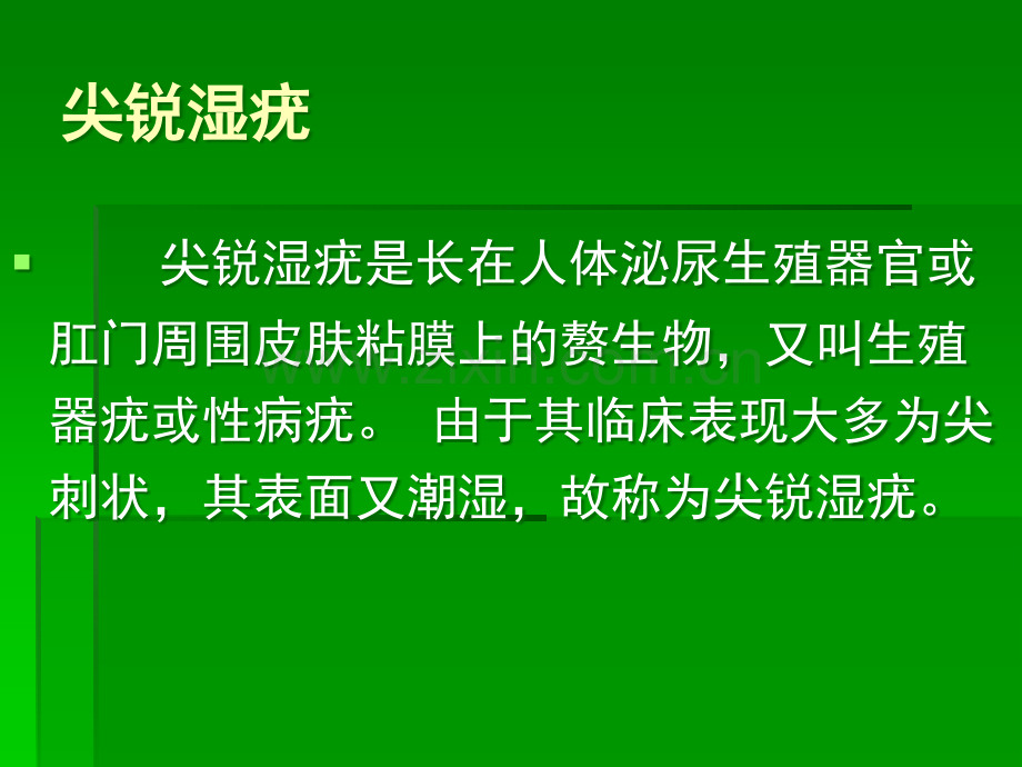 尖锐湿疣课件ppt课件.ppt_第2页