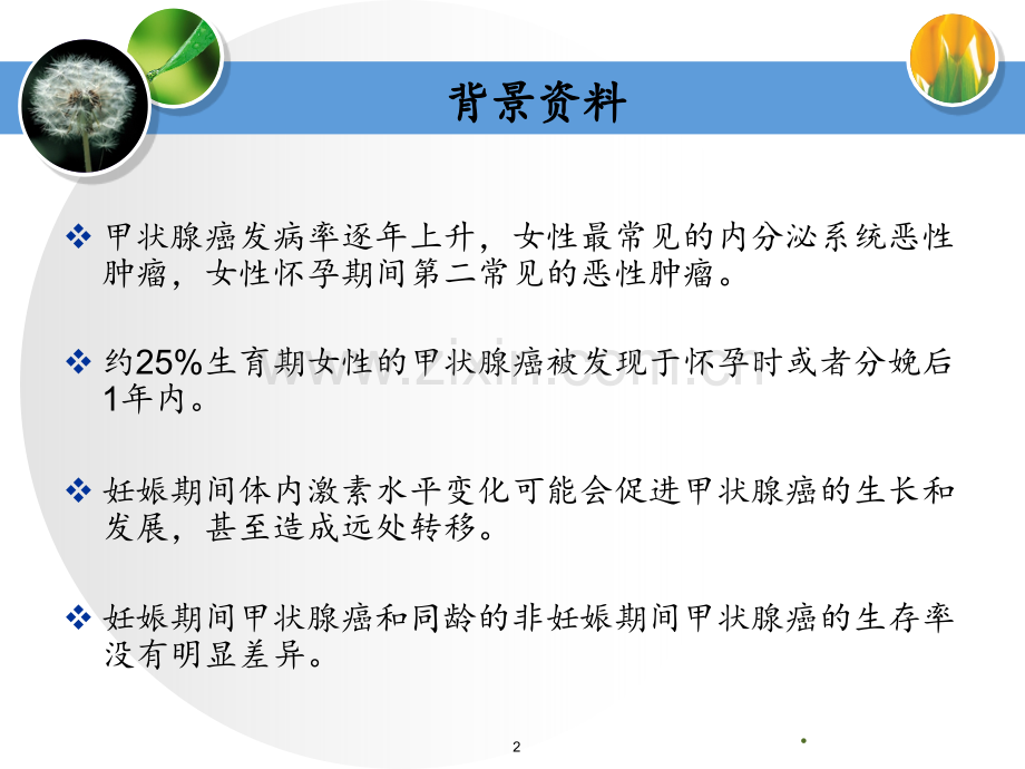 妊娠对分化型甲状腺癌的影响(1).ppt_第2页