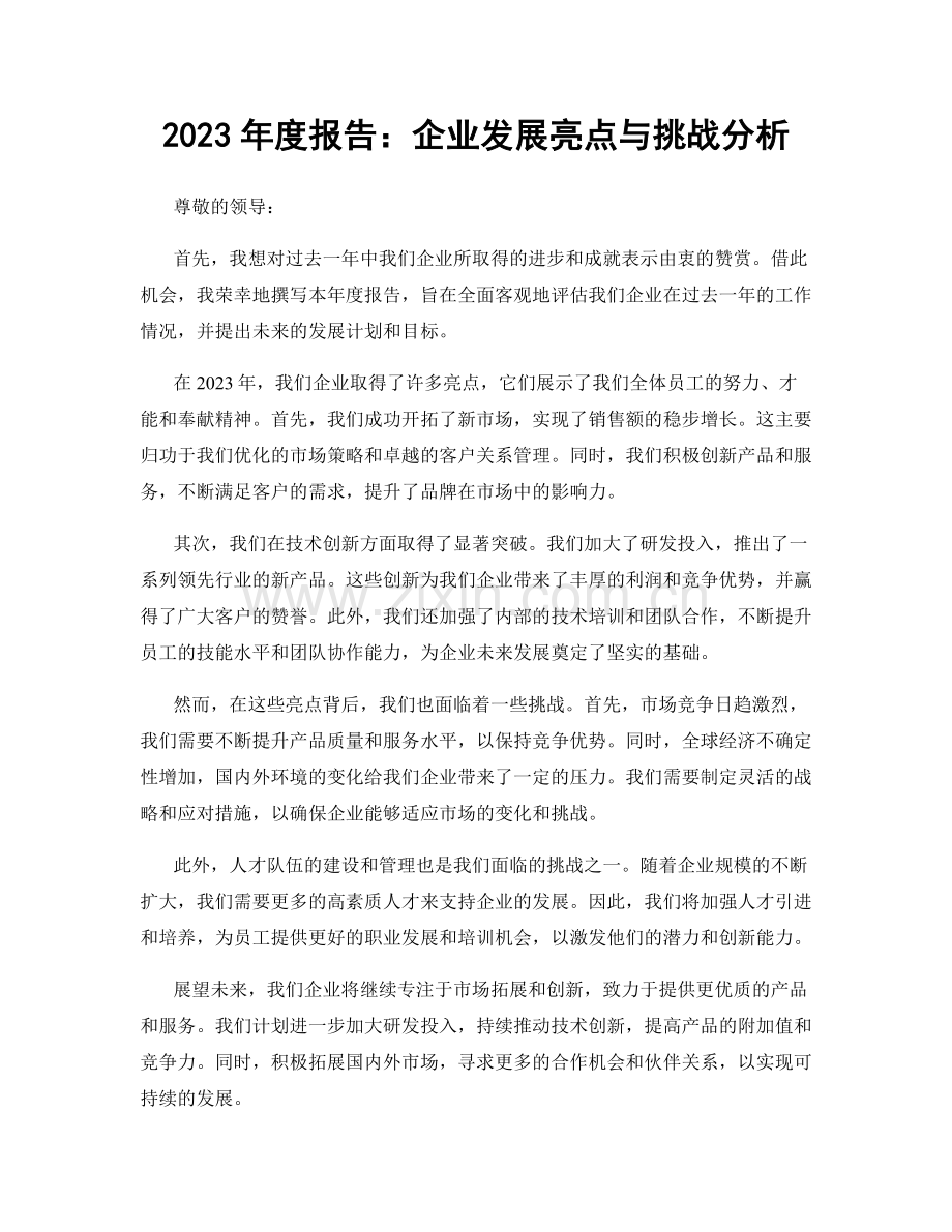 2023年度报告：企业发展亮点与挑战分析.docx_第1页