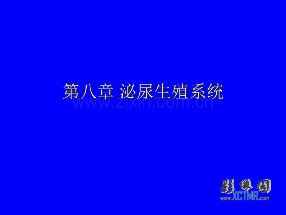 妊娠与女性生殖系统疾病影像诊断.ppt_第1页