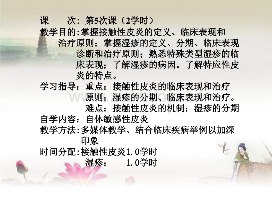 接触性皮炎和湿疹.ppt_第2页