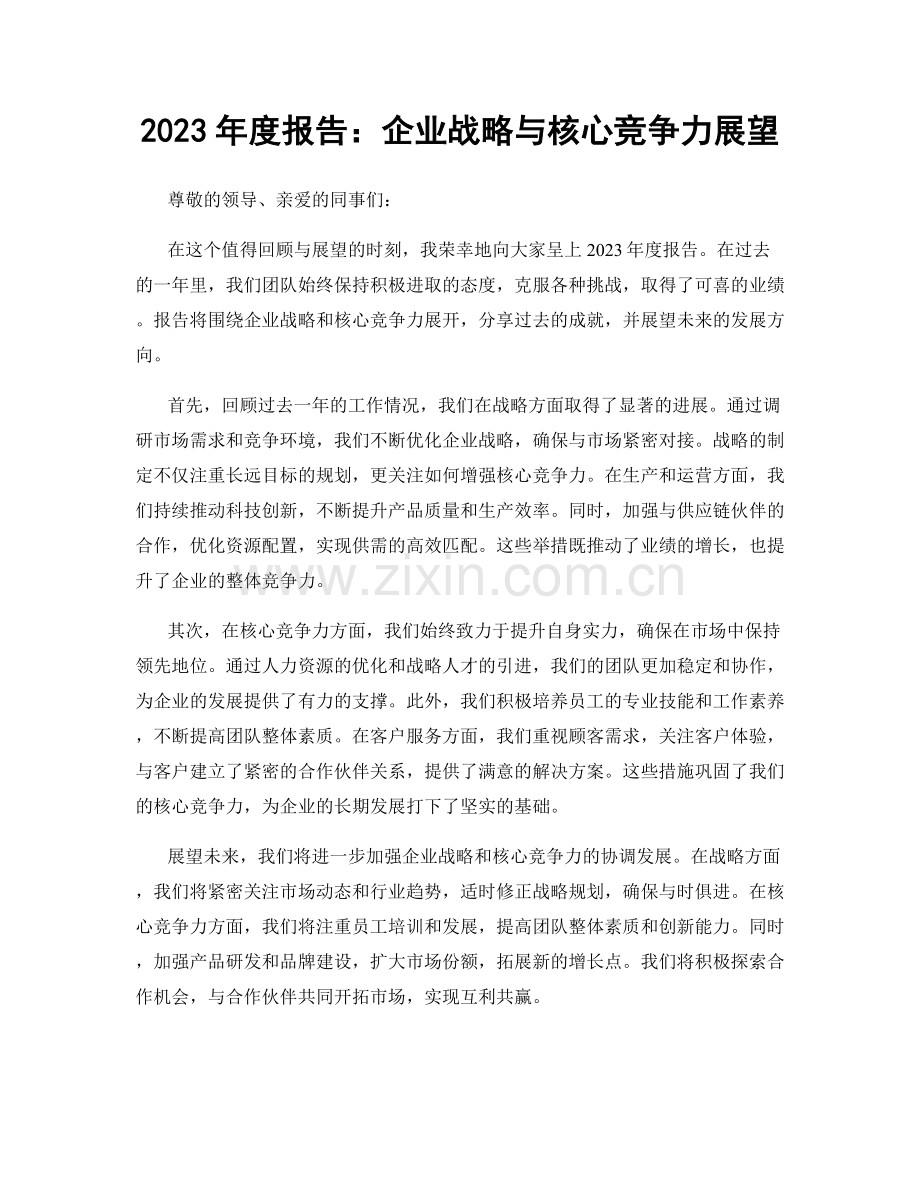 2023年度报告：企业战略与核心竞争力展望.docx_第1页