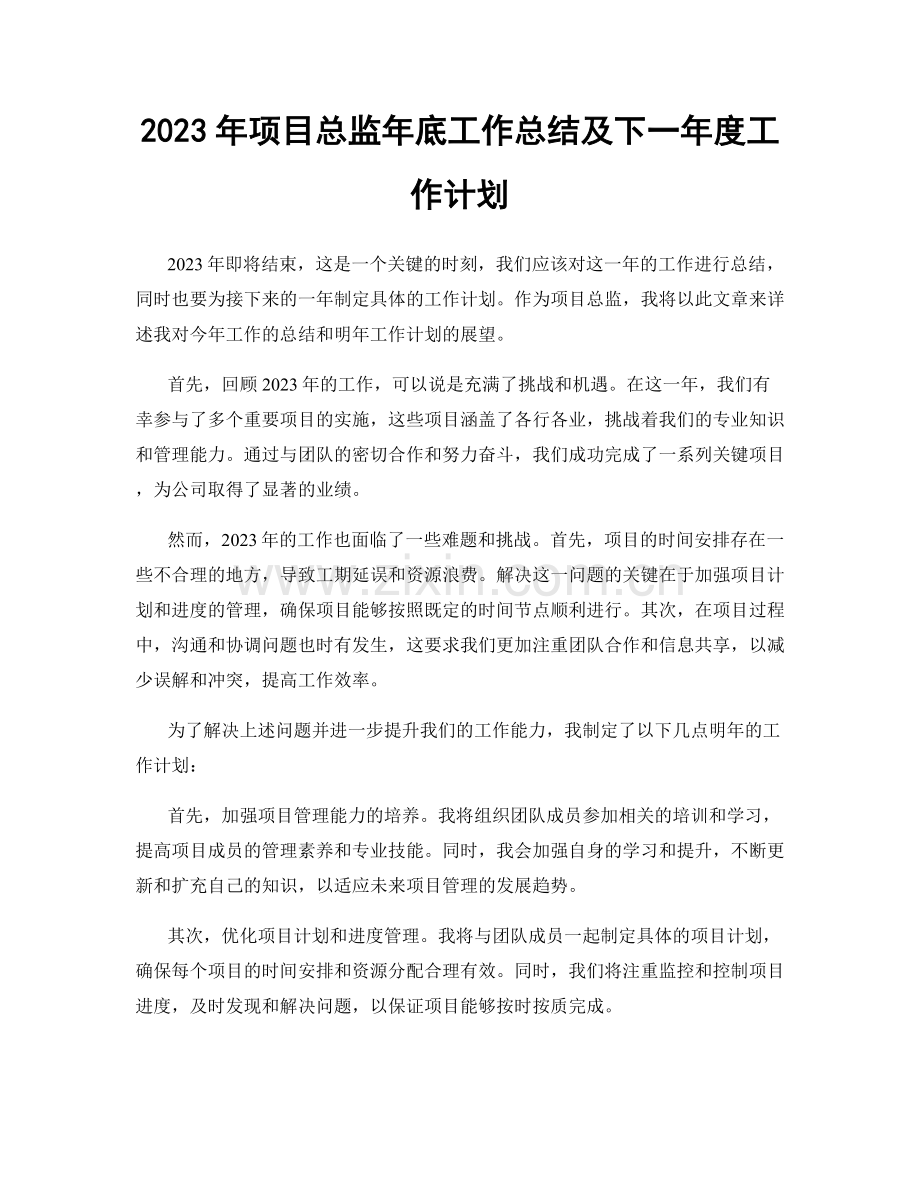 2023年项目总监年底工作总结及下一年度工作计划.docx_第1页