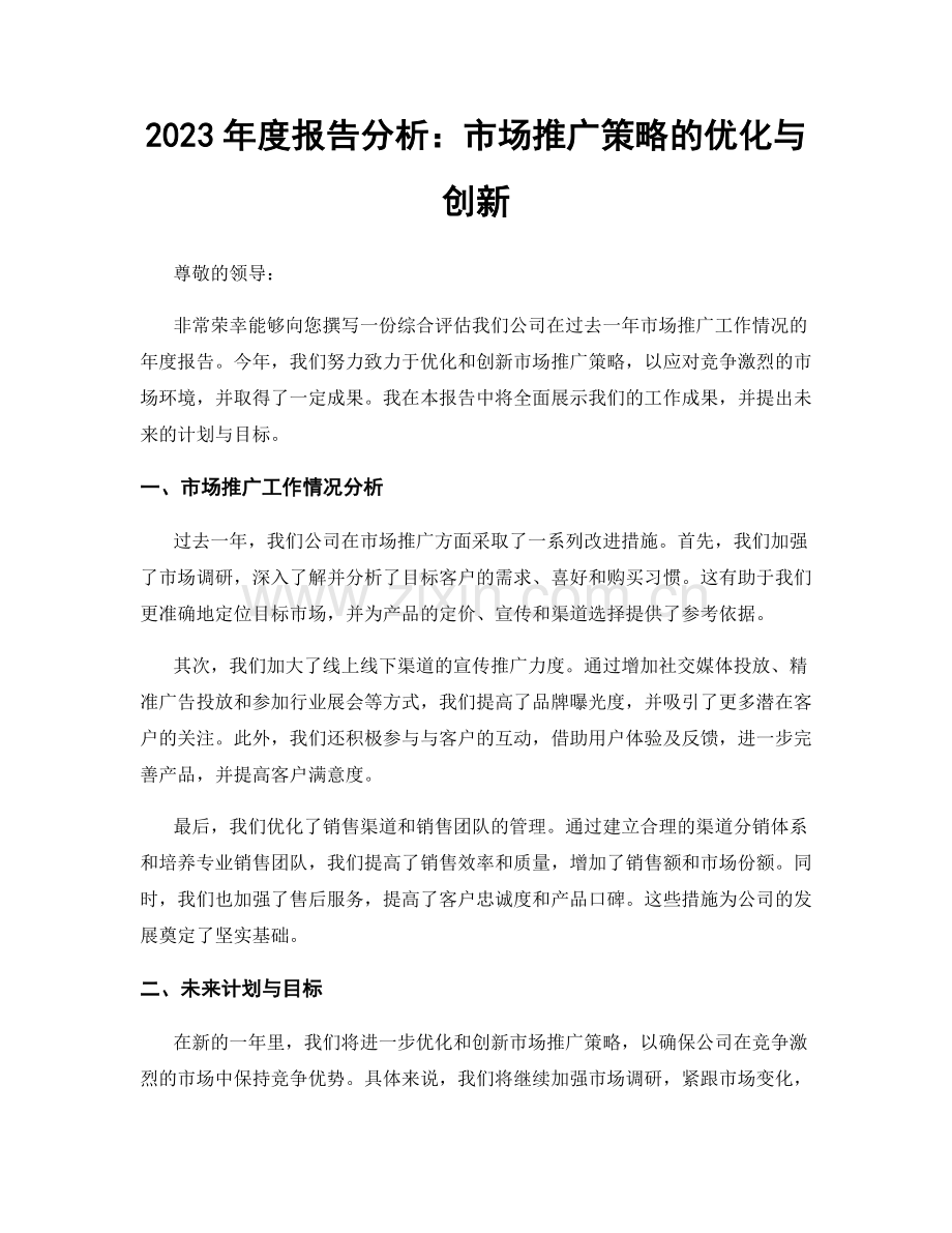 2023年度报告分析：市场推广策略的优化与创新.docx_第1页