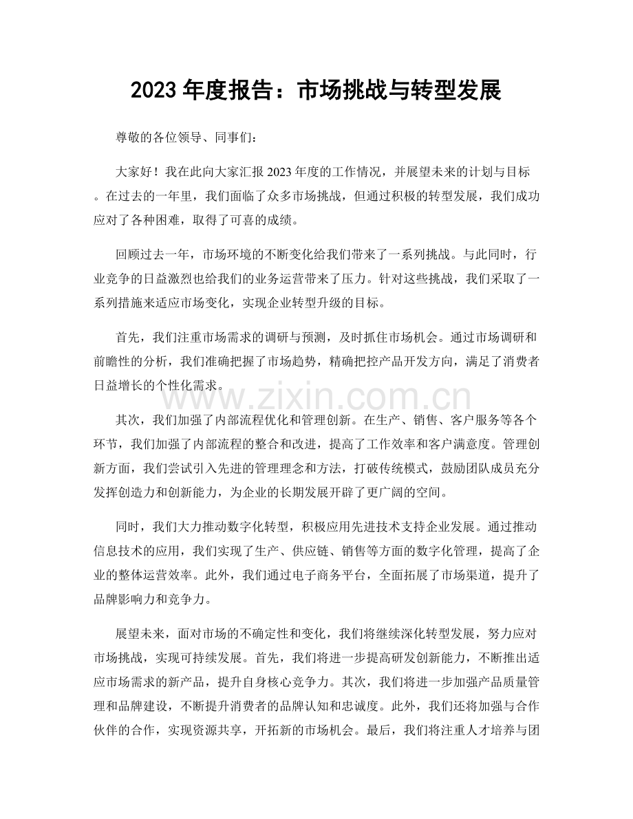 2023年度报告：市场挑战与转型发展.docx_第1页