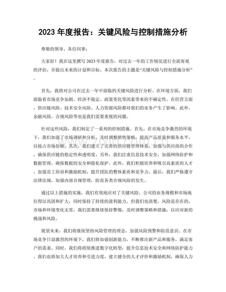 2023年度报告：关键风险与控制措施分析.docx_第1页