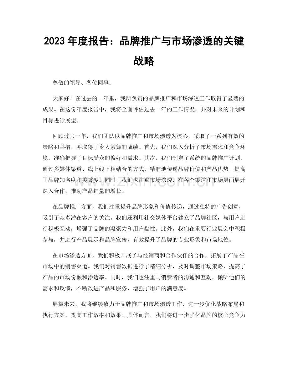 2023年度报告：品牌推广与市场渗透的关键战略.docx_第1页