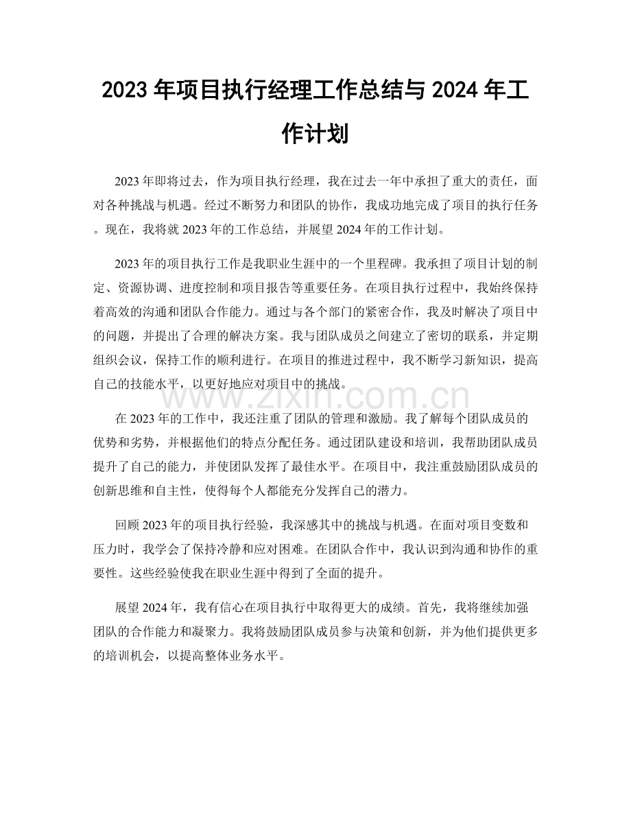 2023年项目执行经理工作总结与2024年工作计划.docx_第1页