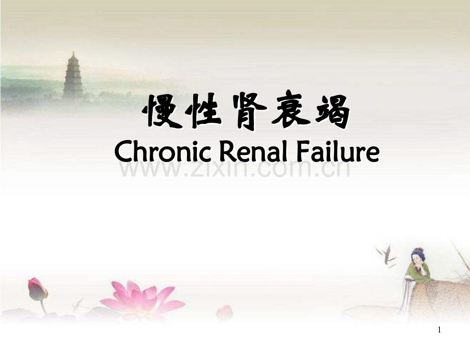 慢性肾衰竭.ppt_第1页