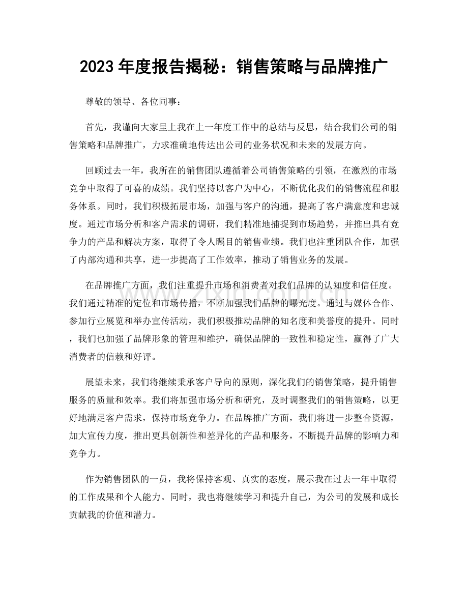 2023年度报告揭秘：销售策略与品牌推广.docx_第1页