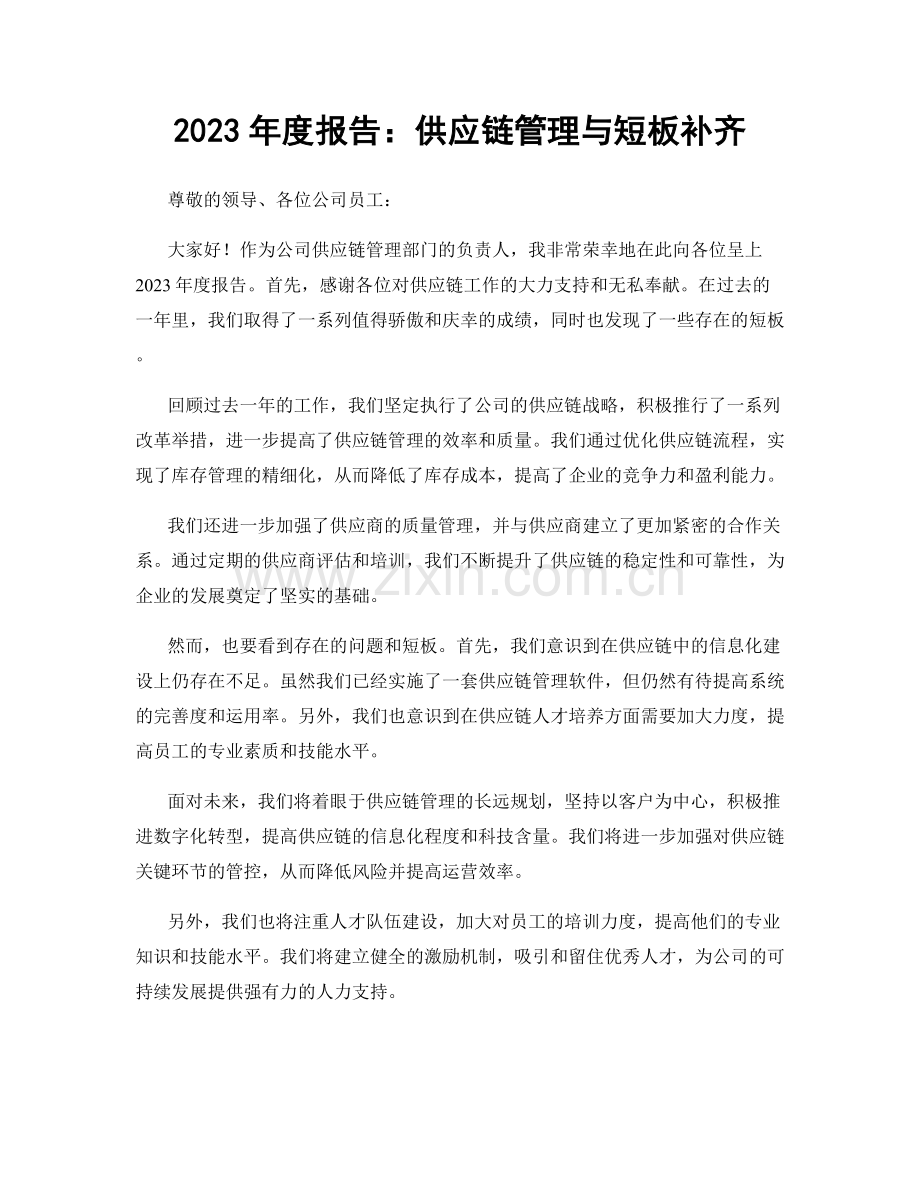 2023年度报告：供应链管理与短板补齐.docx_第1页