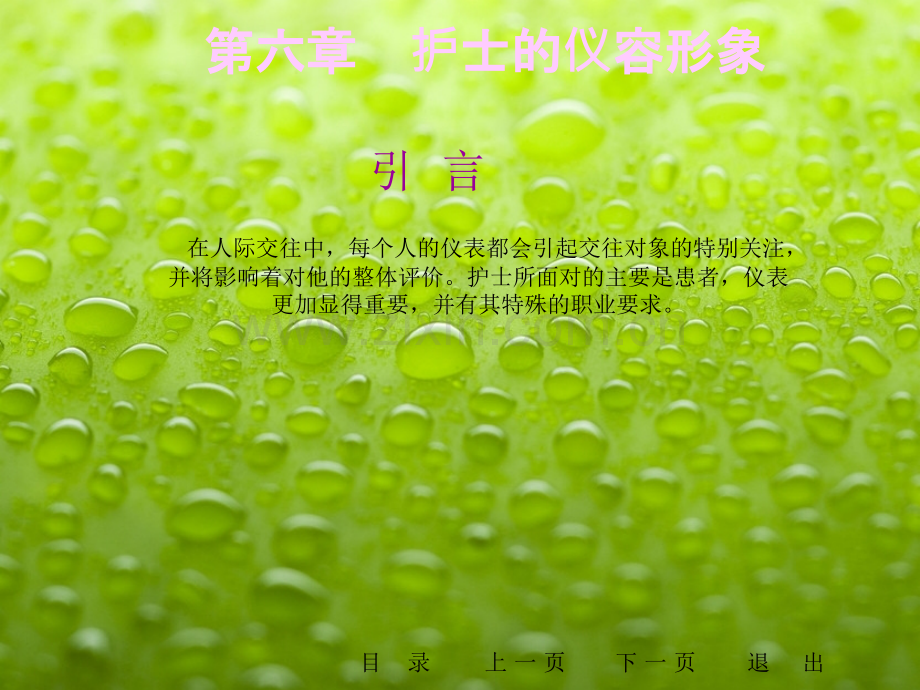 护士的仪容形象ppt课件.ppt_第1页