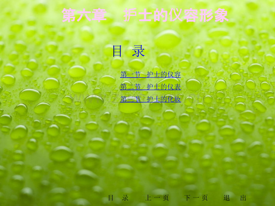 护士的仪容形象ppt课件.ppt_第2页