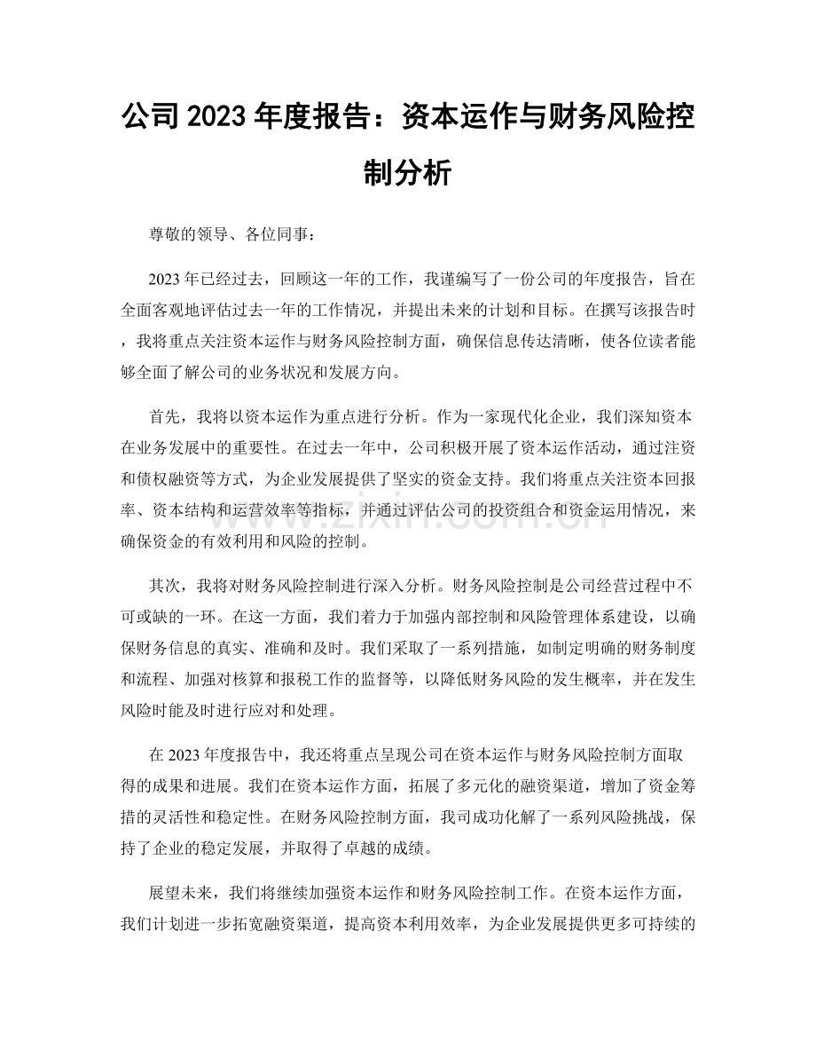 公司2023年度报告：资本运作与财务风险控制分析.docx_第1页