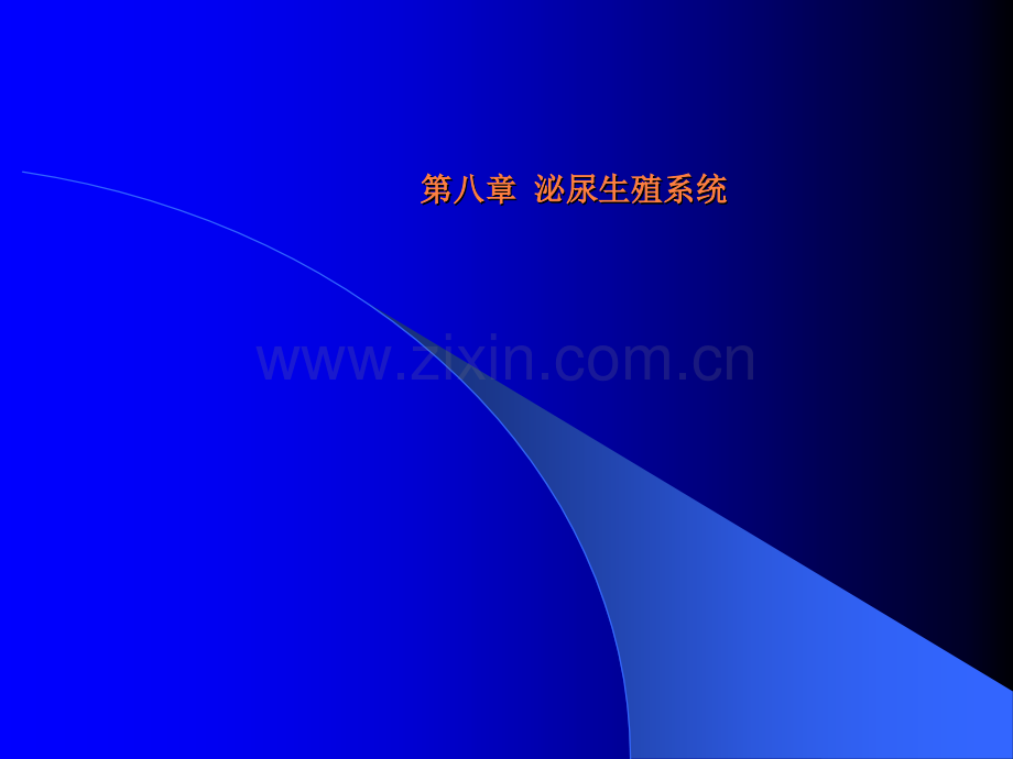 女性泌尿系统带多图.ppt_第1页