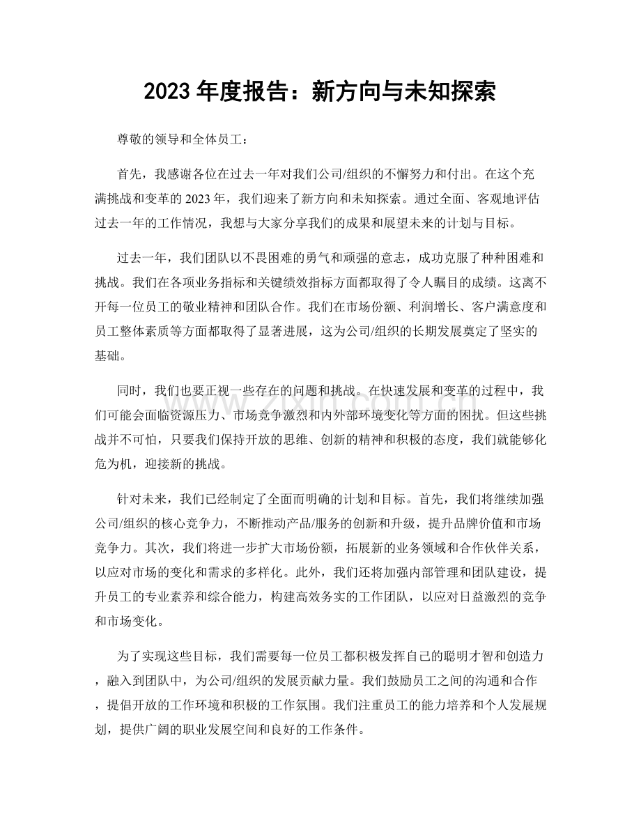 2023年度报告：新方向与未知探索.docx_第1页