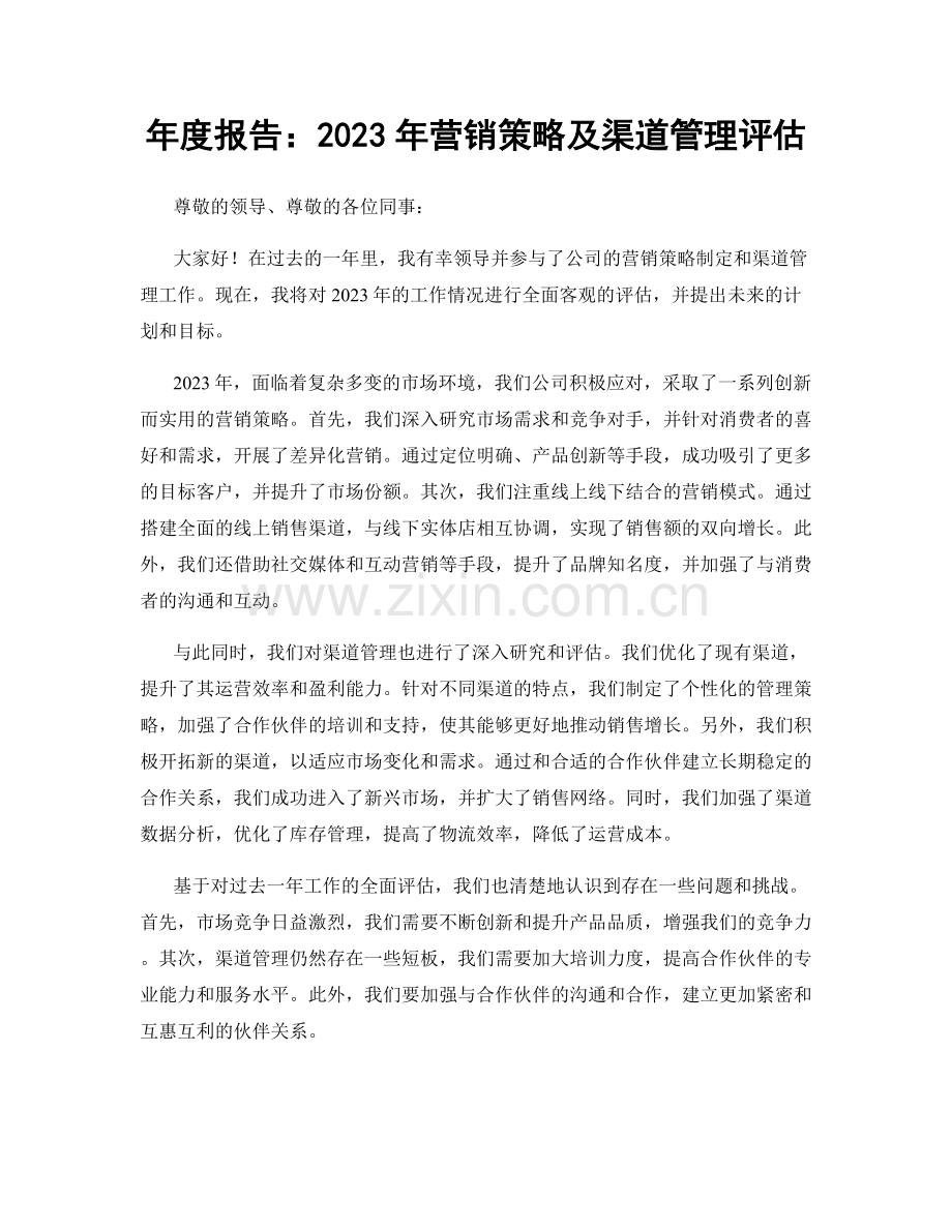 年度报告：2023年营销策略及渠道管理评估.docx_第1页