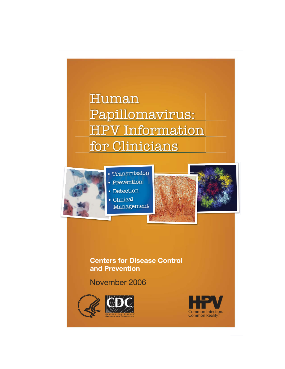 HPV病毒分类、型别（高危、低位）、产生原因、预防、诊断及治疗方式-+CDC+Clinicians.pdf_第1页