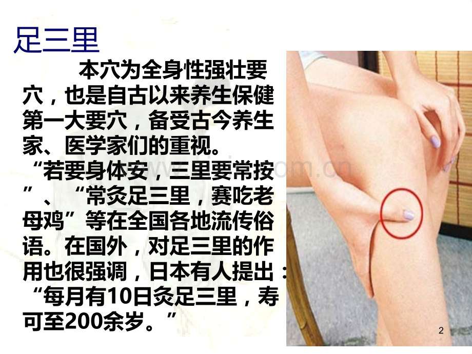 实用保健穴位.ppt_第2页