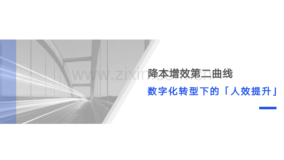 数字化转型战略下的人效提升.pdf_第1页
