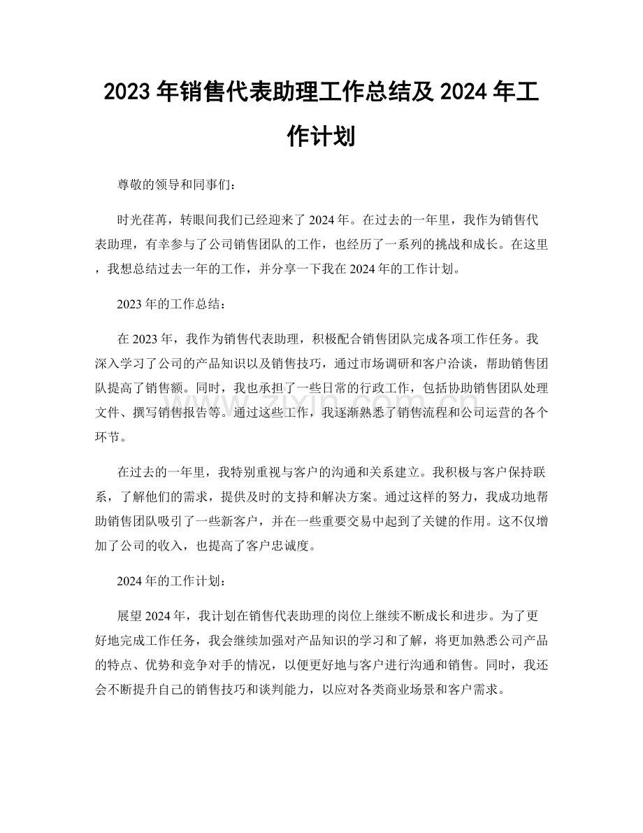 2023年销售代表助理工作总结及2024年工作计划.docx_第1页